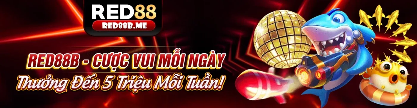 Hình ảnh minh họa các vấn đề thường gặp khi tải SHBET50