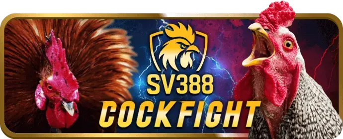 Hình ảnh minh họa cookie và công nghệ theo dõi của tải shbet50